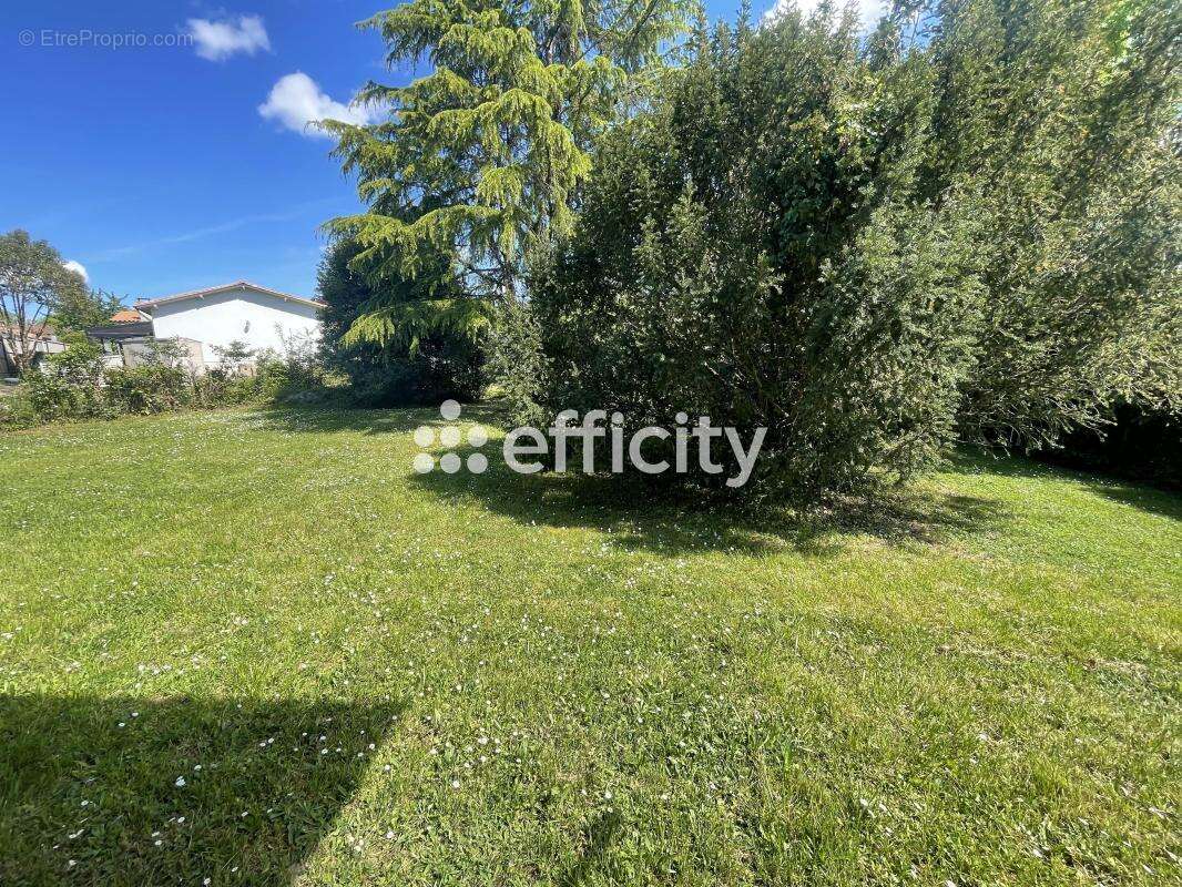 Maison à BLANQUEFORT