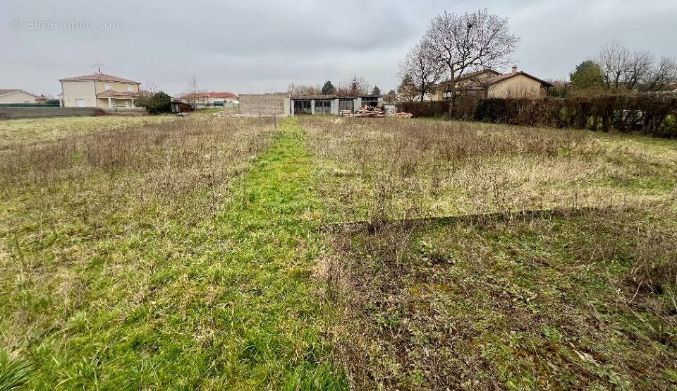 Terrain à FEILLENS