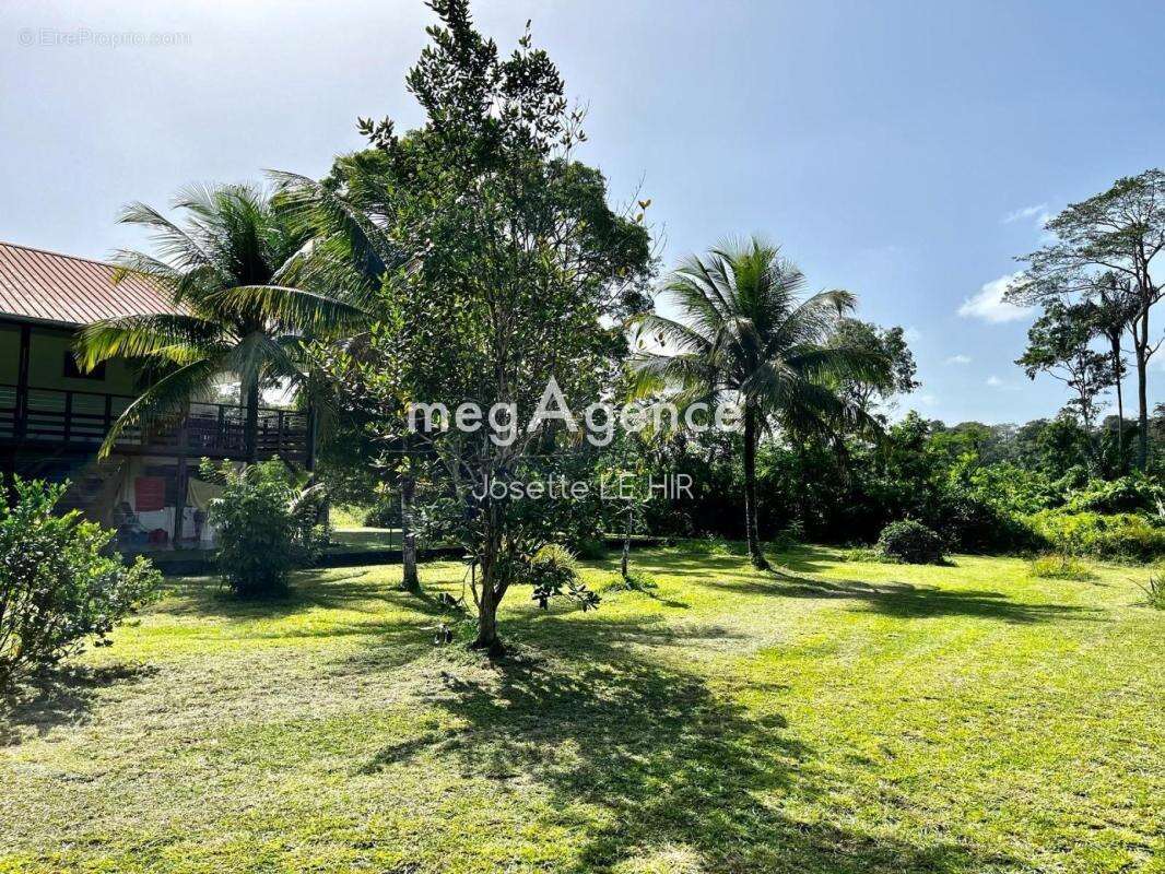 Appartement à MATOURY