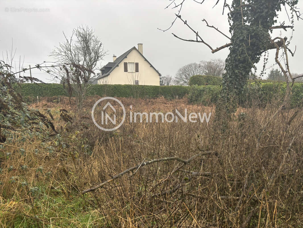 Maison plain pied 80 m2 sur terrain de 1603 m2 a renover - photo 8