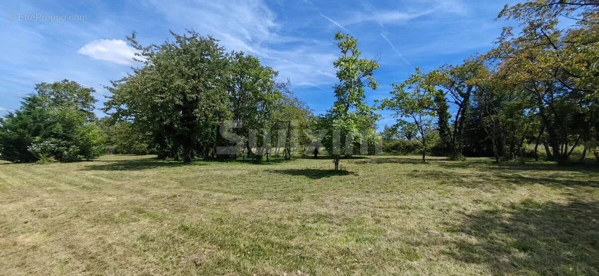 Terrain à CHAMPVANS