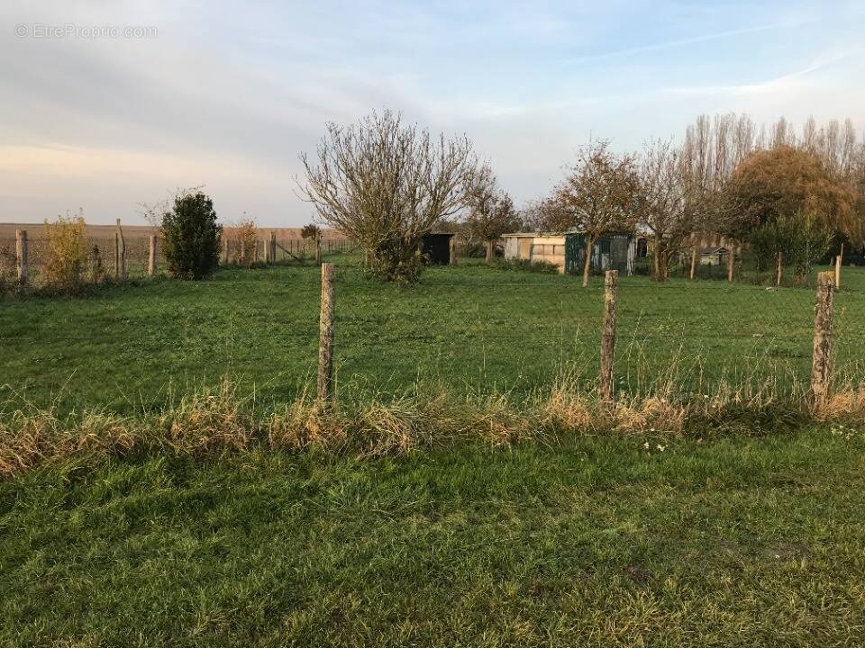 Terrain à NOISY-LE-GRAND