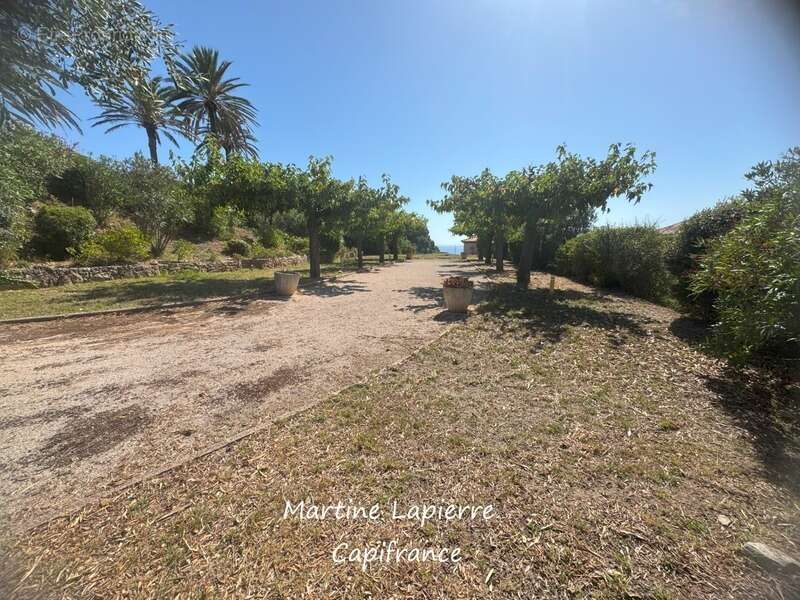 Terrain à LES ISSAMBRES