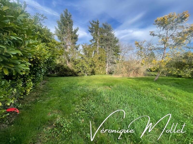 Terrain à LIGNAN-DE-BORDEAUX