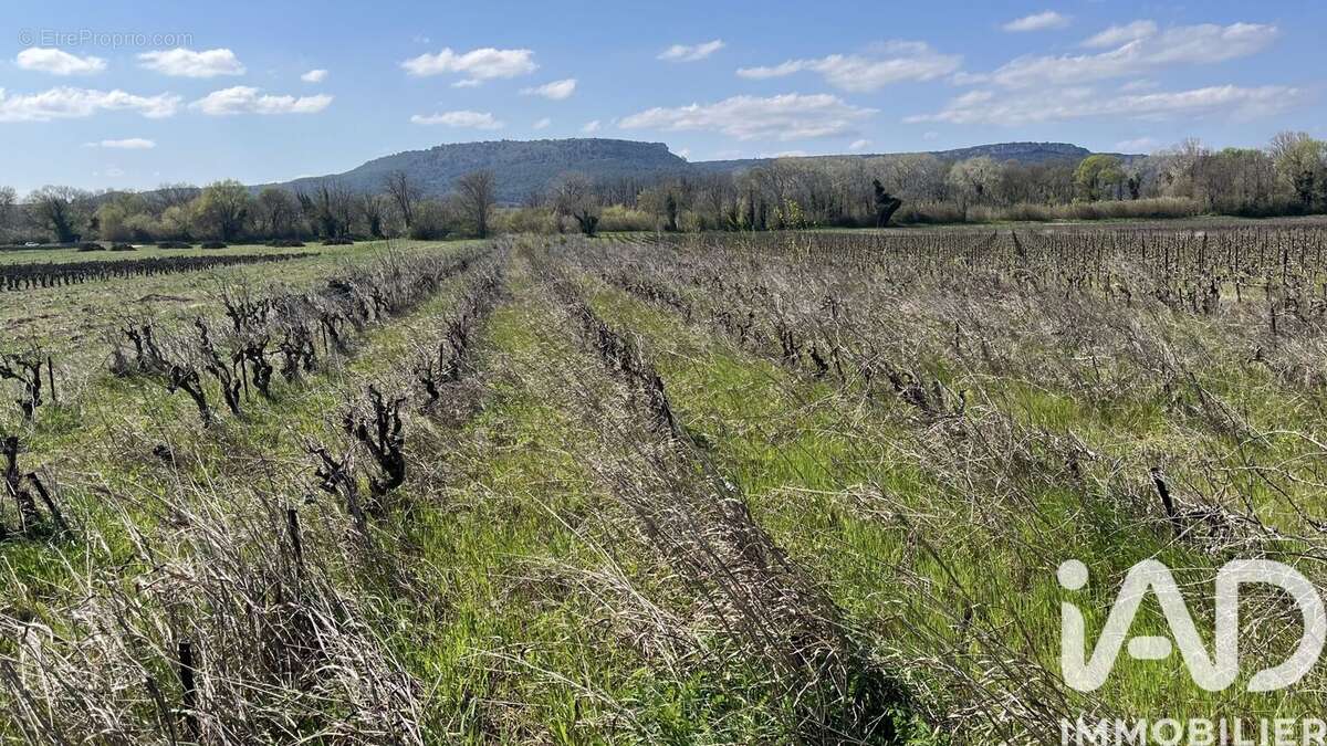 Photo 2 - Terrain à CODOLET