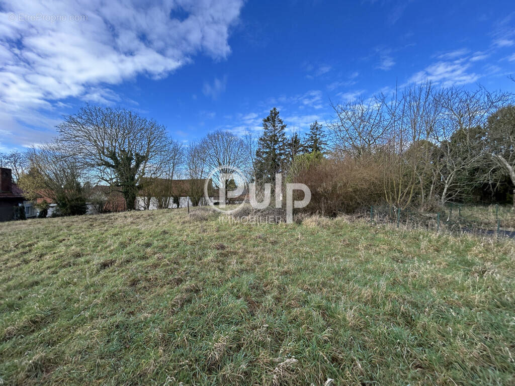 Terrain à MONT-SAINT-ELOI