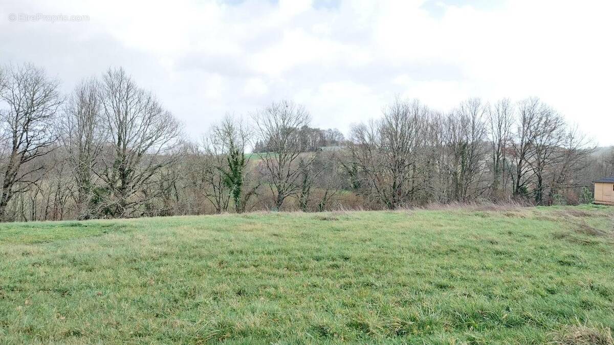 Terrain à SAINT-PIERRE-DE-CHIGNAC