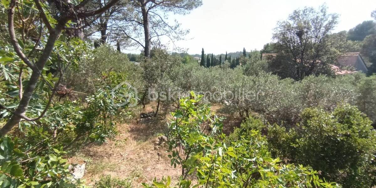 Terrain à PELISSANNE