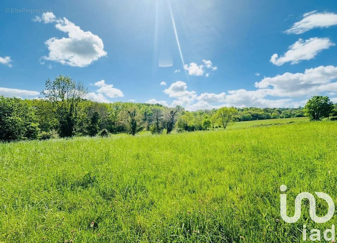 Photo 5 - Maison à LAHOURCADE