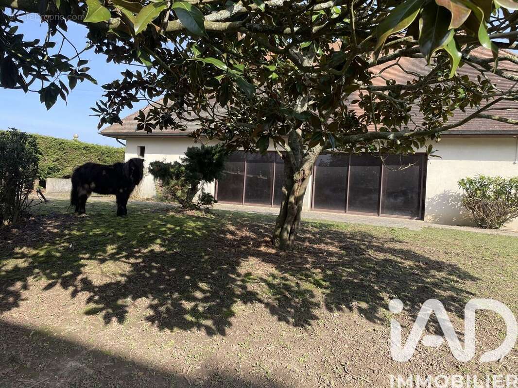 Photo 4 - Maison à EVRY-GREGY-SUR-YERRE