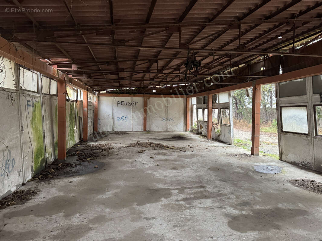 Commerce à CARCASSONNE