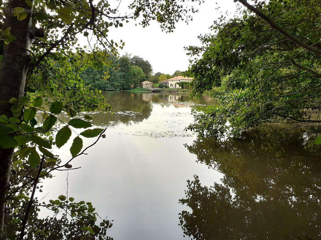 OVERVIEW - Maison à ASNIERES-SUR-BLOUR