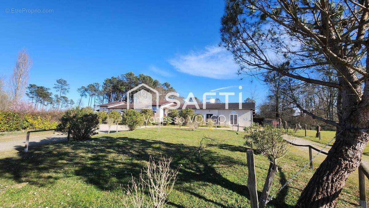 Photo 1 - Commerce à CAZAUBON