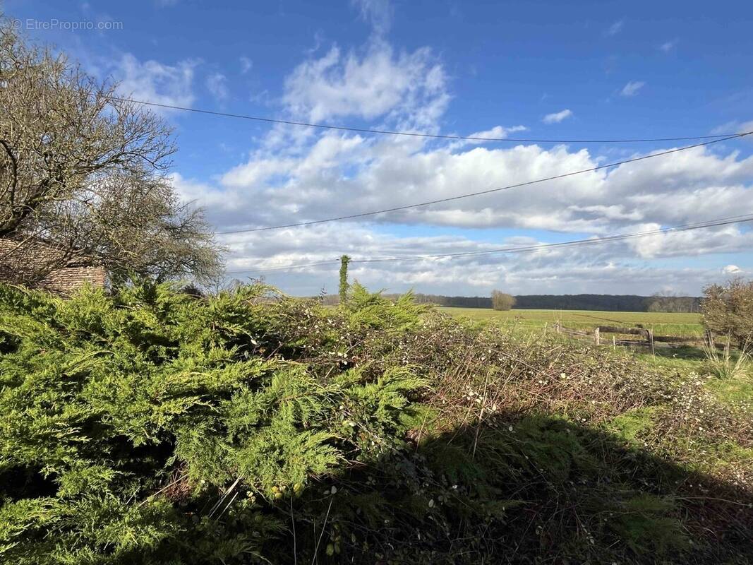 Maison à SAVIGNY-SUR-SEILLE