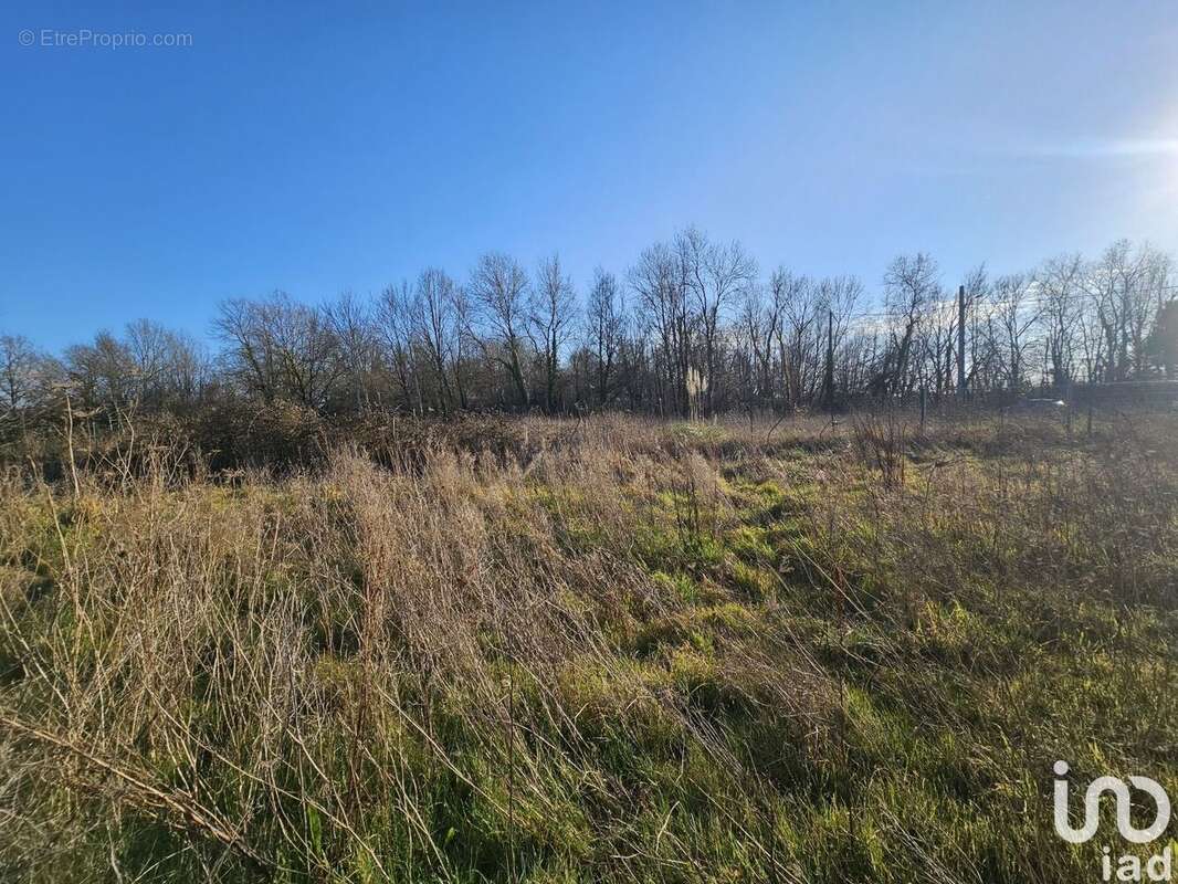 Photo 6 - Commerce à LA VILLE-DIEU-DU-TEMPLE