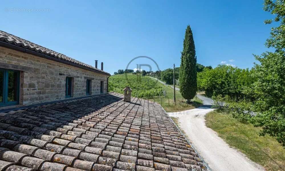 Ferme avec appartements, laboratoire de transformation et boutique à la ferme — Le Marche - photo 23