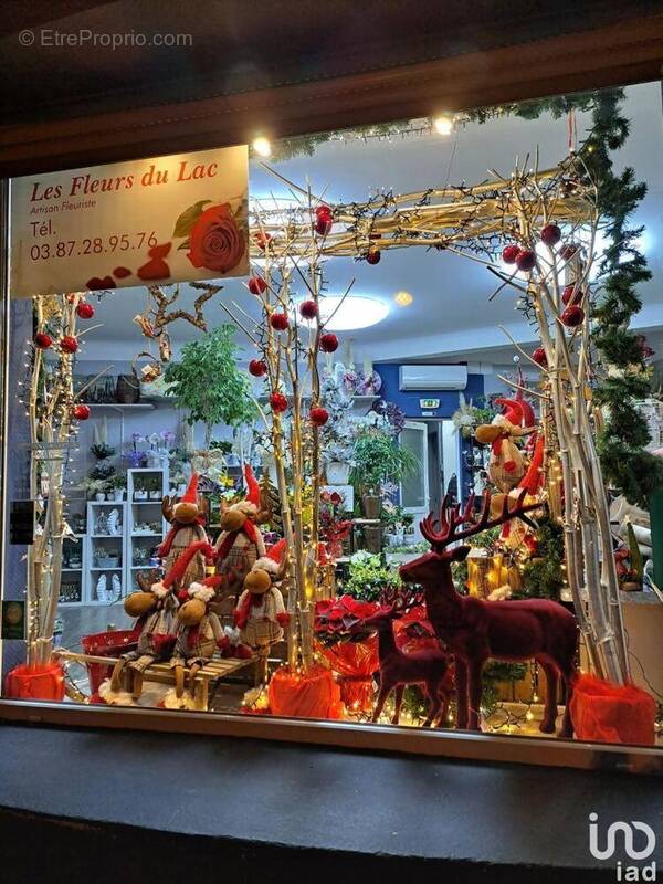 Photo 1 - Commerce à PUTTELANGE-AUX-LACS