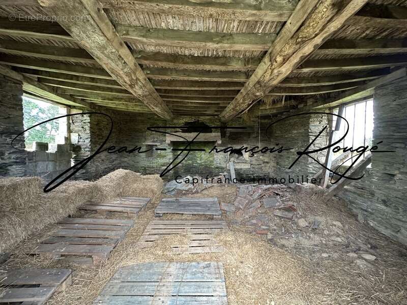 Maison à SAINT-GERMAIN-D&#039;ELLE