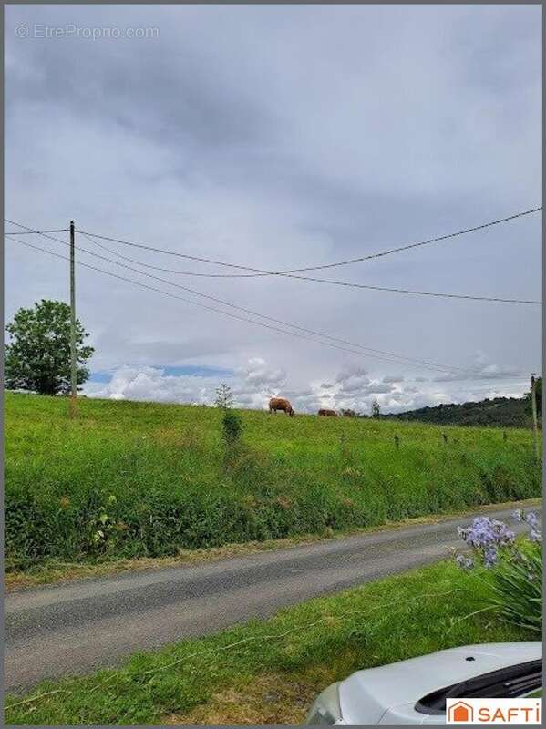 Photo 3 - Terrain à CHABRIGNAC