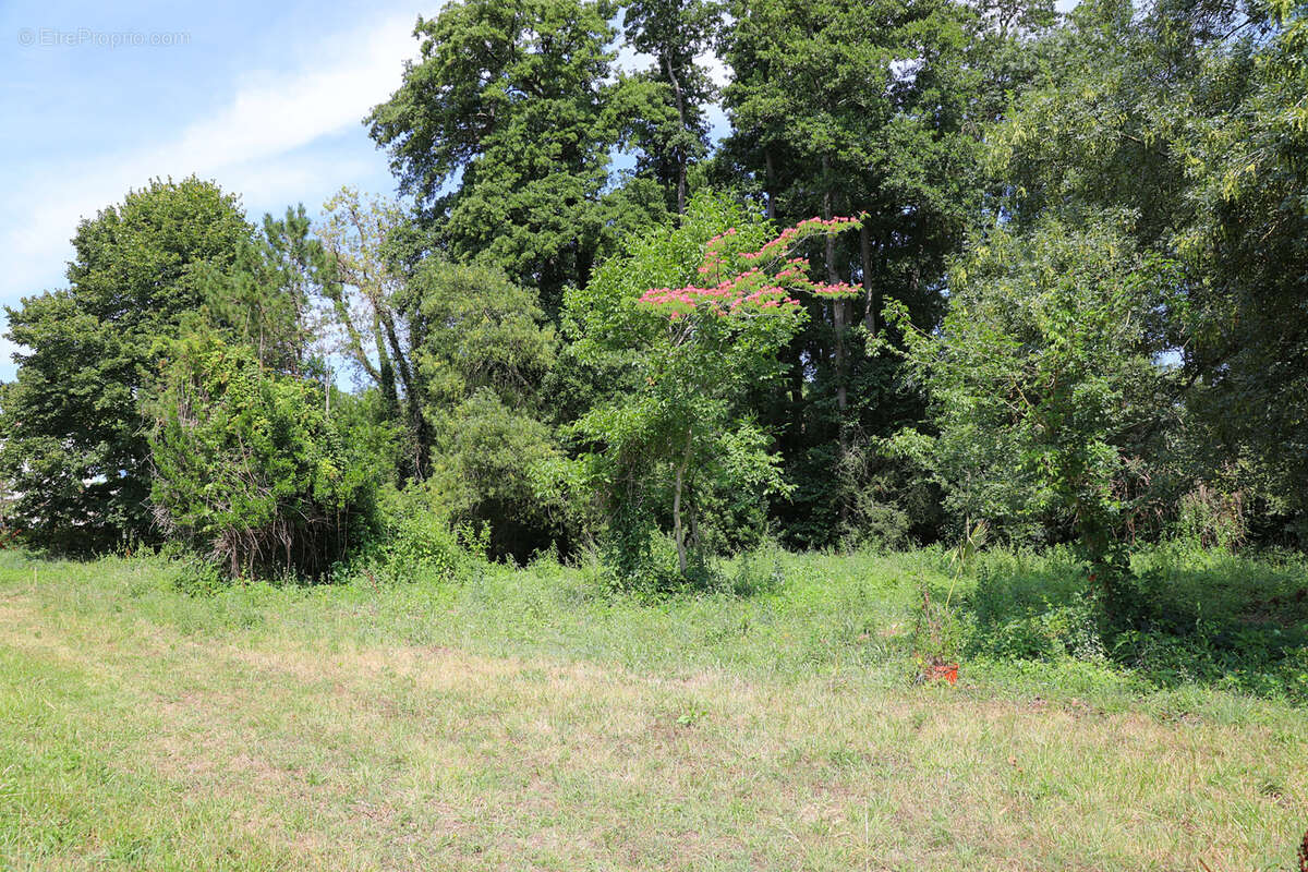 Terrain à SAINT-GEORGES-DE-DIDONNE