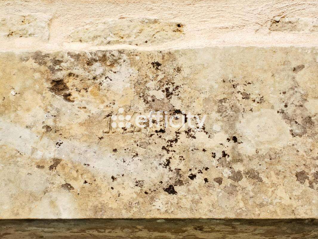 Maison à NIEUL-SUR-L&#039;AUTISE