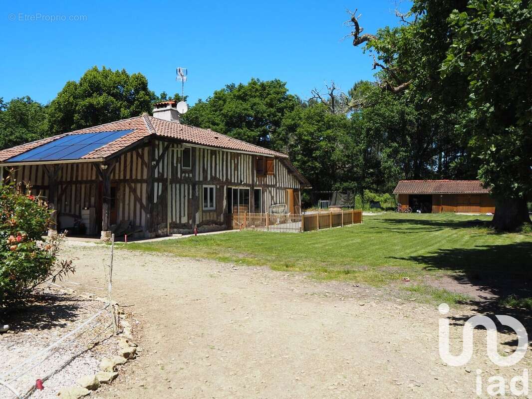 Photo 2 - Maison à LUXEY