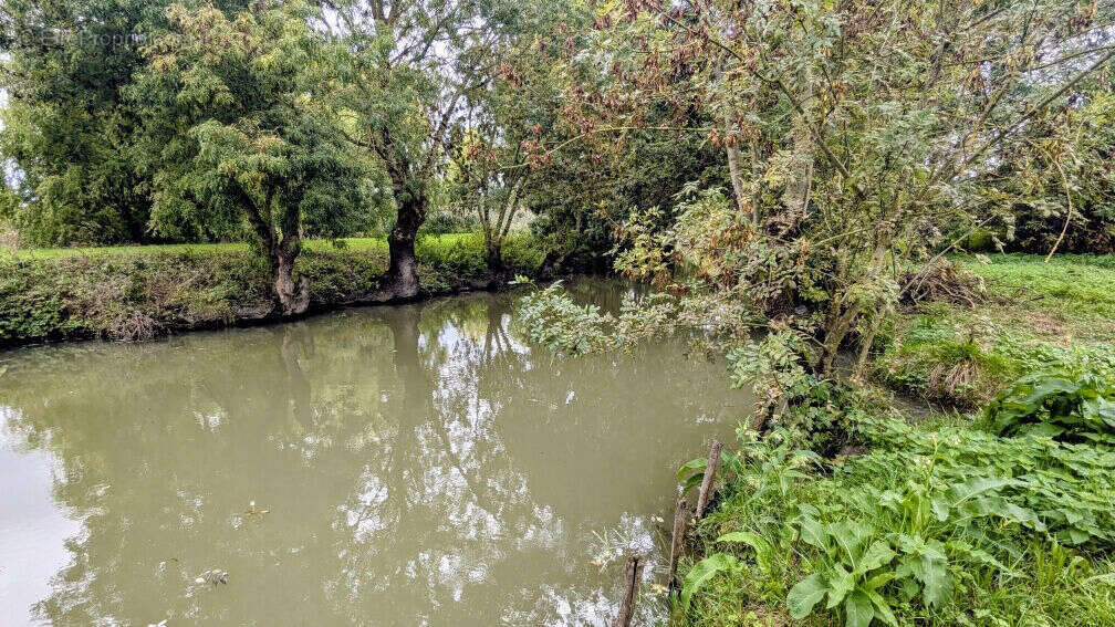 Photo 2 - Maison à MAILLE