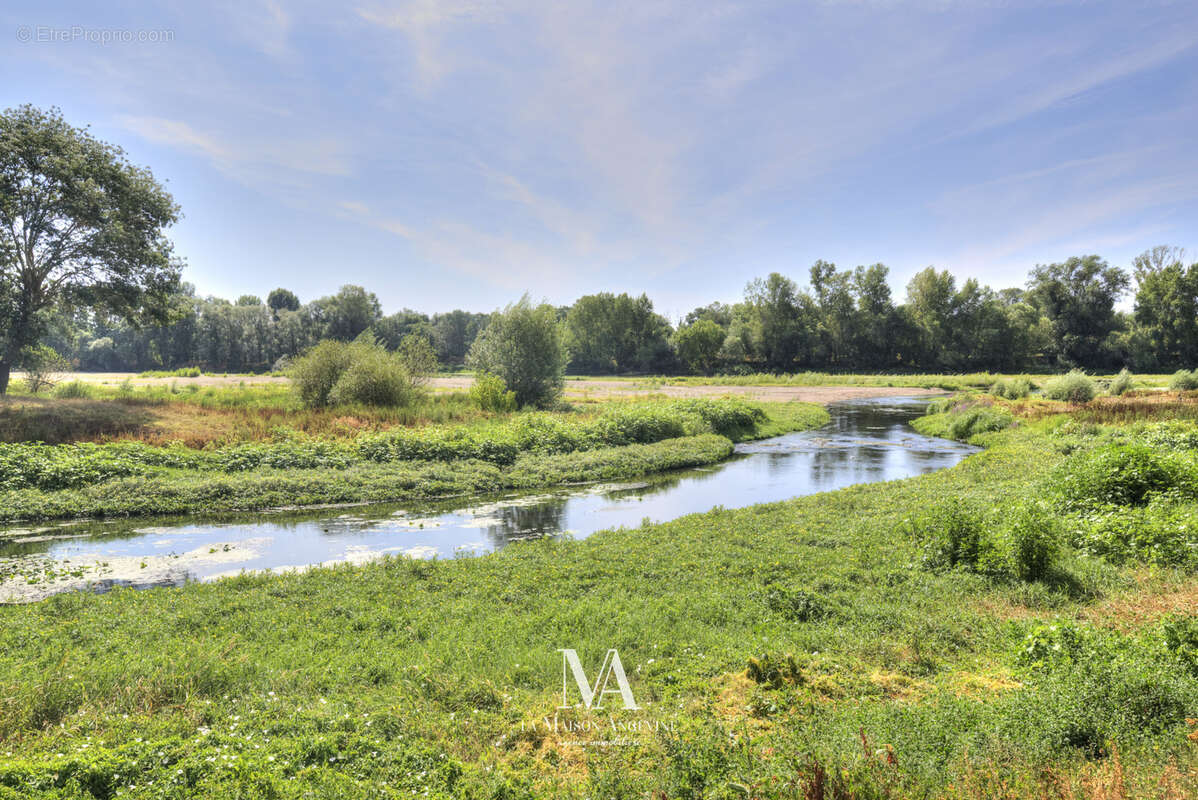 Sainte Gemmes Sur Loire - photo 2