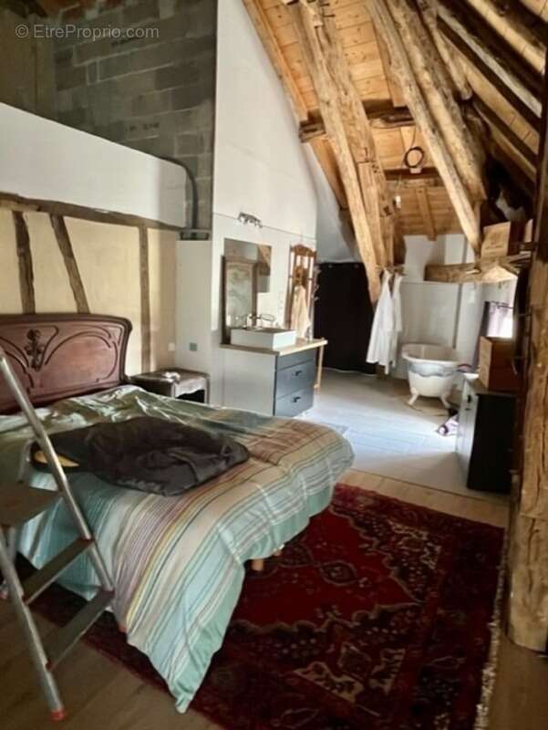 Dpt  (32) : ELEGANT CHATEAU XIX, sans travaux, bases médievales avec douves, piscine, sur 9100m2 jardin clos - photo 56