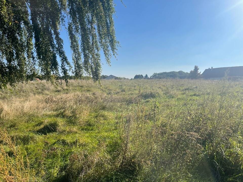 Terrain à ISLES-LES-MELDEUSES
