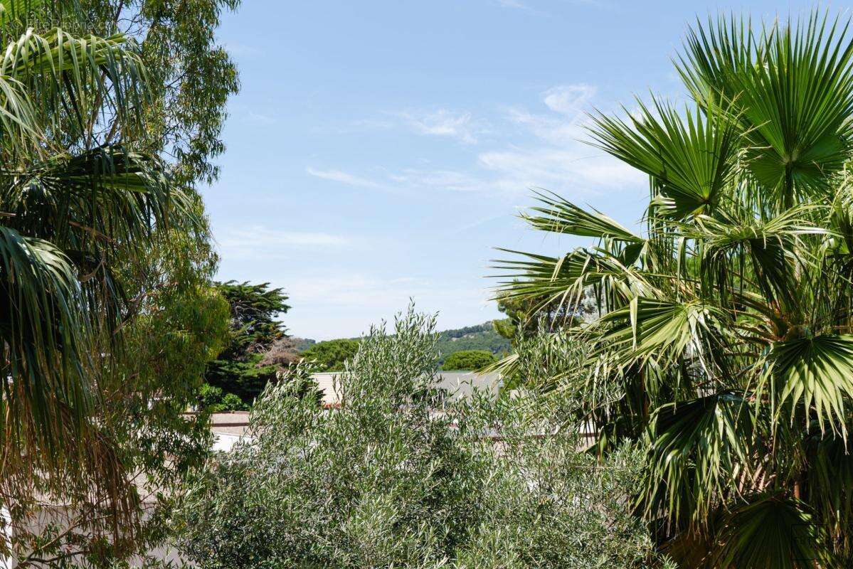 Fütterer property : en exclusivité - grazel - appartement 1 pi - photo 7