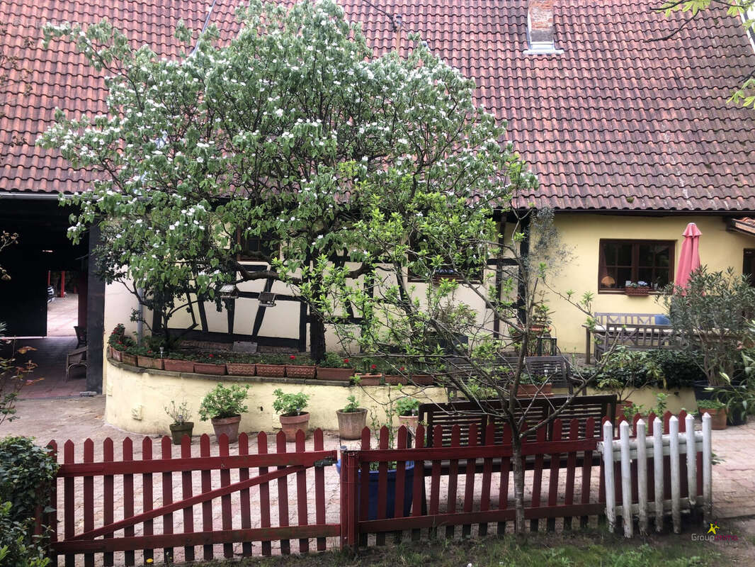 Maison 378 m² à Bischwiller  - photo 3