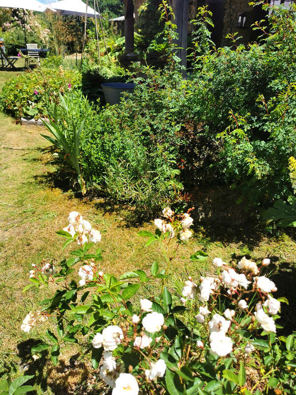 Maison d'artiste avec jardin botanique, source - Terrain 1,6 hectare - photo 41