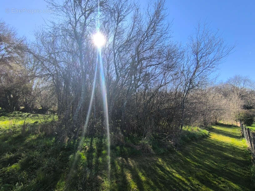 Maison à GOUTTIERES