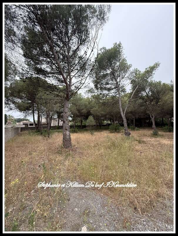 Terrain à vendre  LE GRAU D'AGDE (34) - photo 2