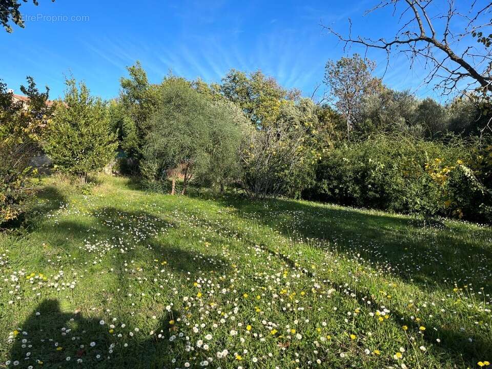 Terrain à SOLLIES-PONT