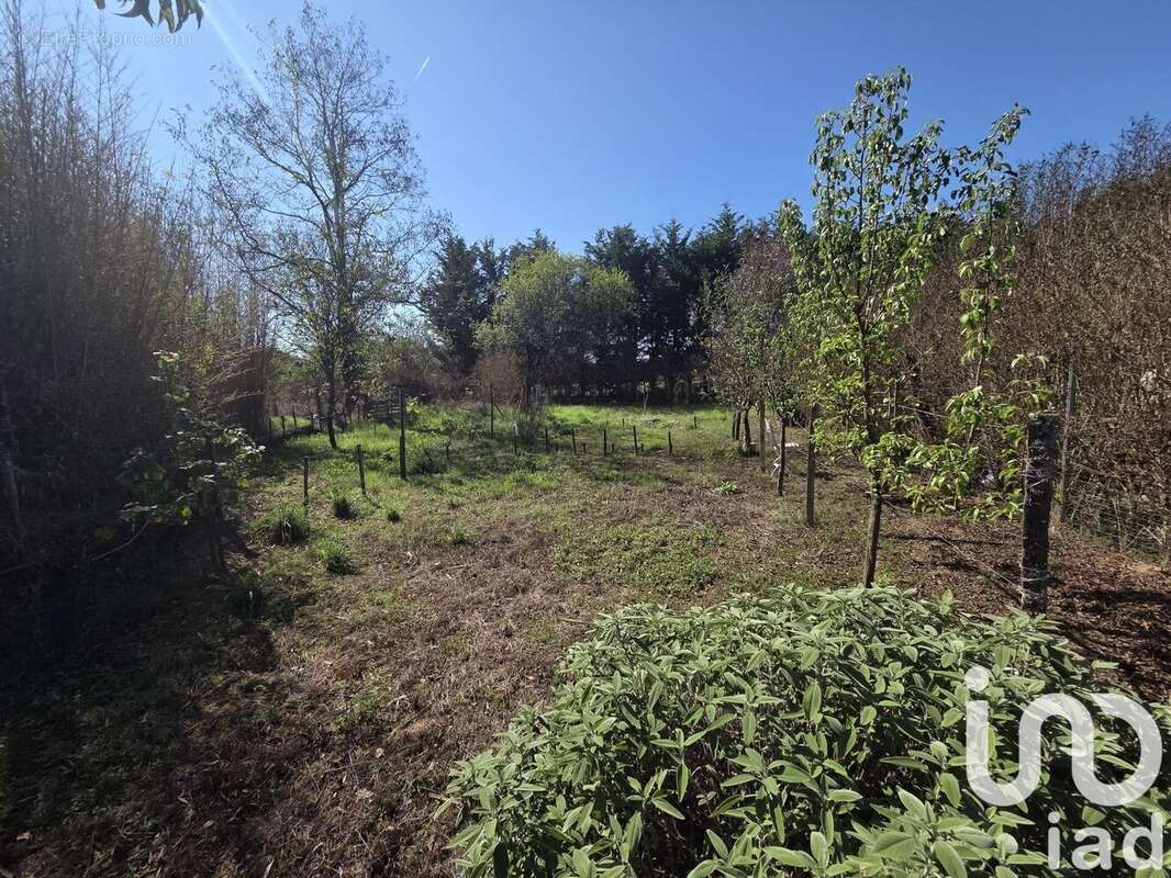 Photo 3 - Maison à MENESPLET