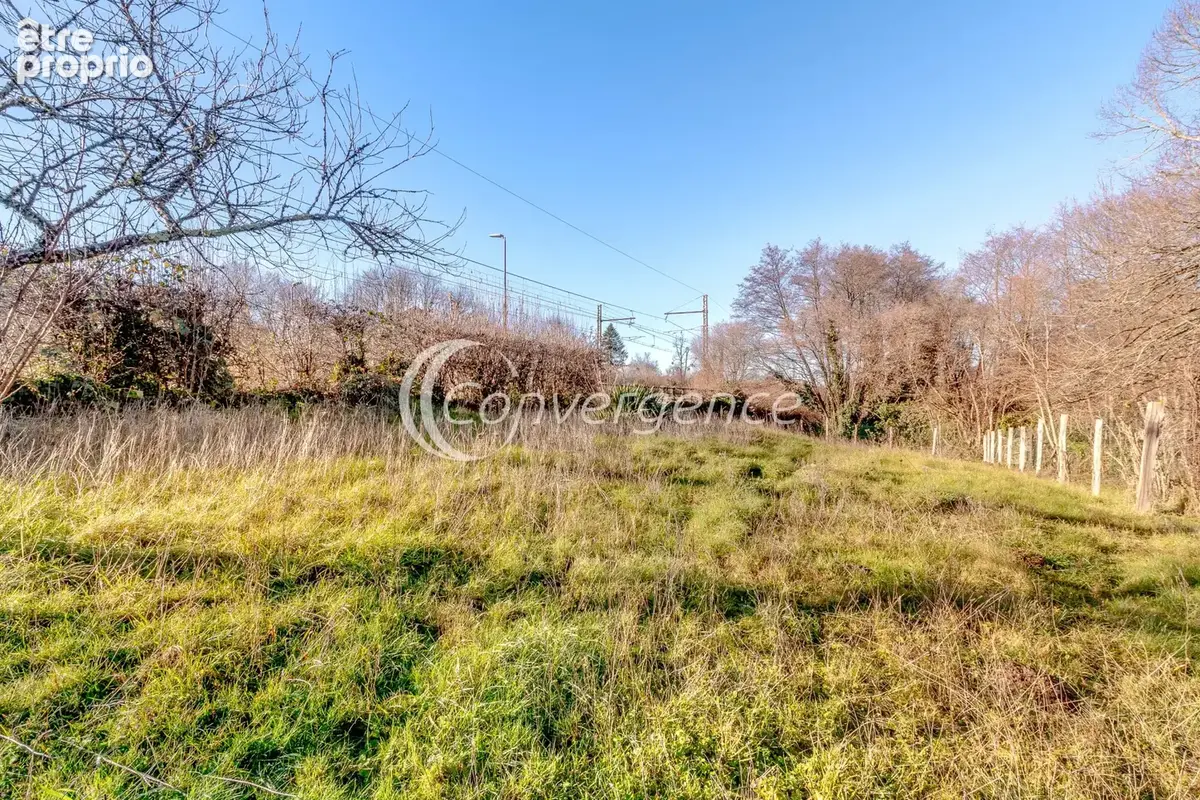 Maison 3 chambres jardin de 1287 m2 - photo 5