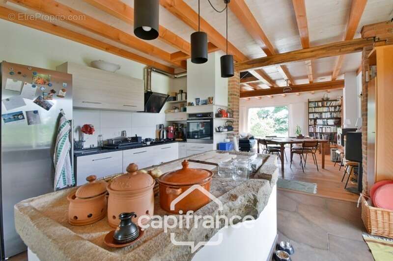 Propriété avec gîtes et chambres d’hôtes dans dépendances séparées et Maison bressane rénovée de 140 m² – Terrain 4374 m² –LOUHA - photo 43