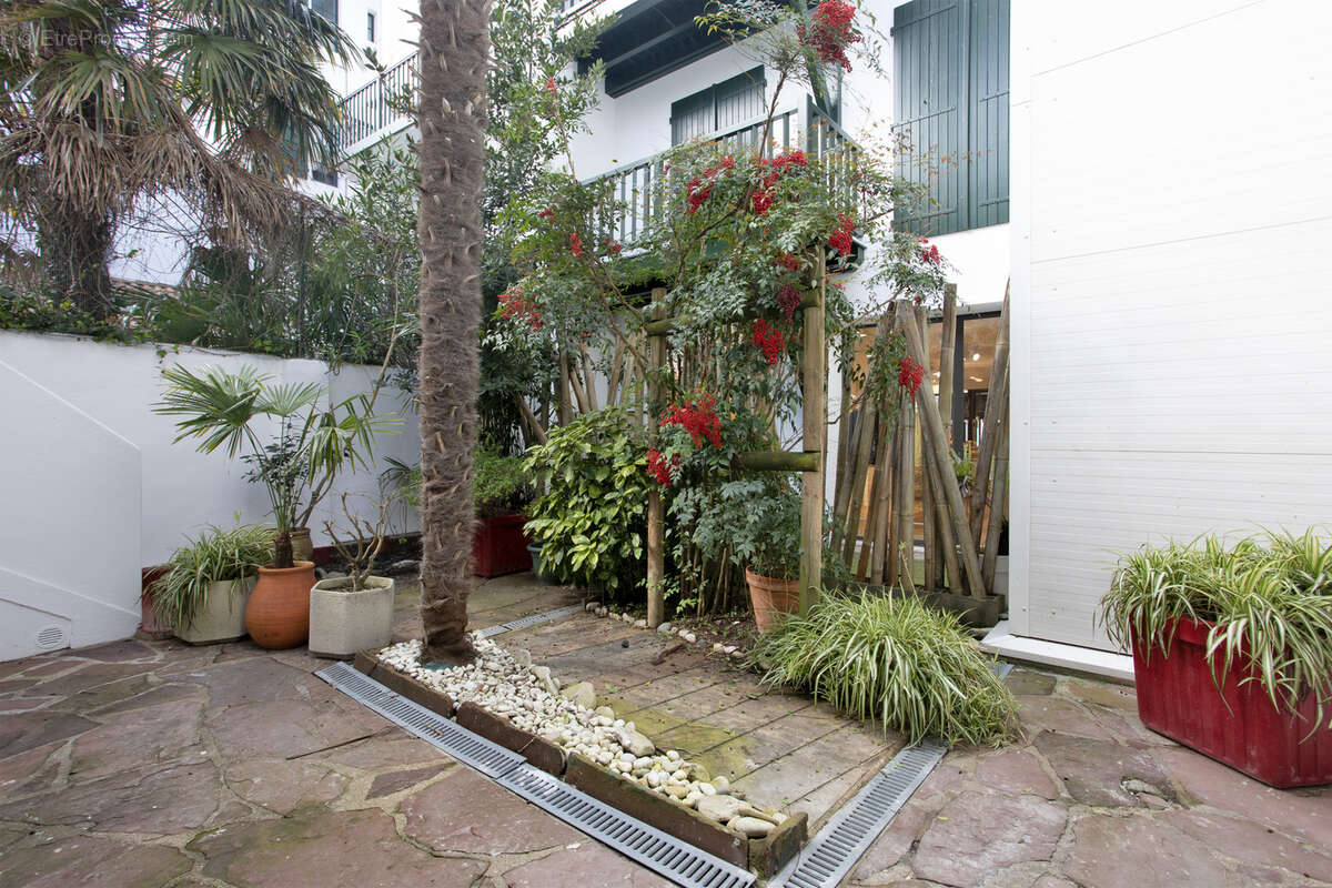 Appartement à SAINT-JEAN-DE-LUZ