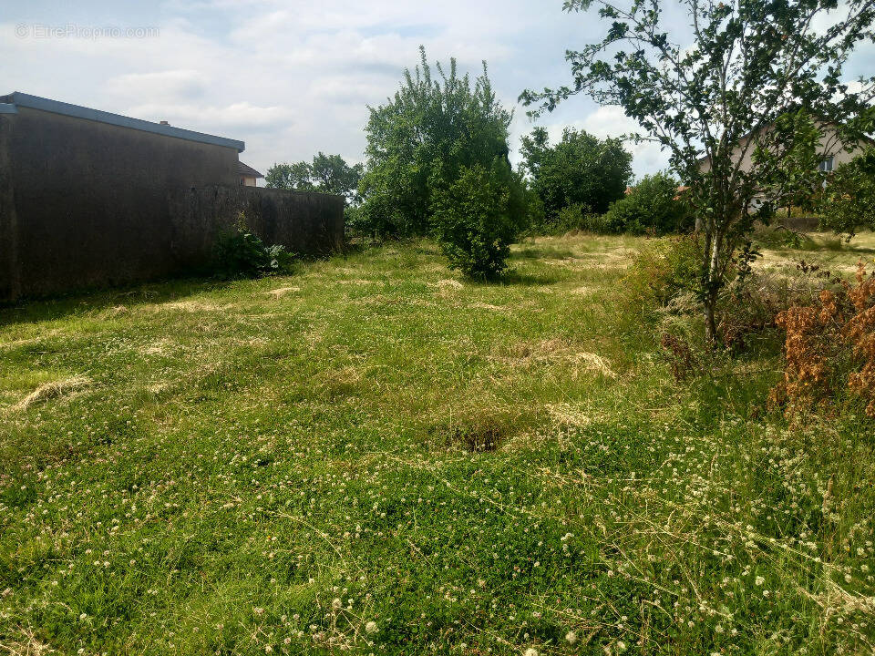 Terrain à TRESSANGE