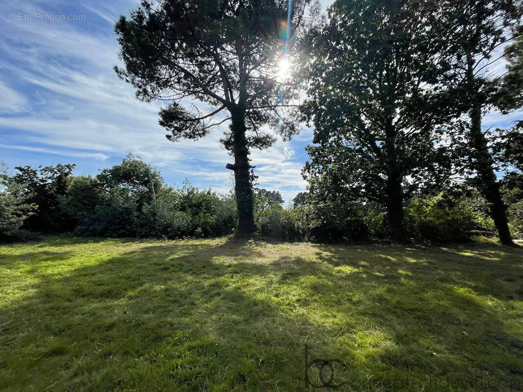 Terrain à SAINT-GILDAS-DE-RHUYS