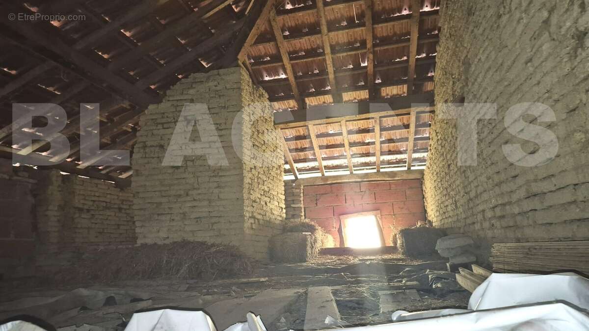 Grenier 1 - Maison à PUYLAUSIC