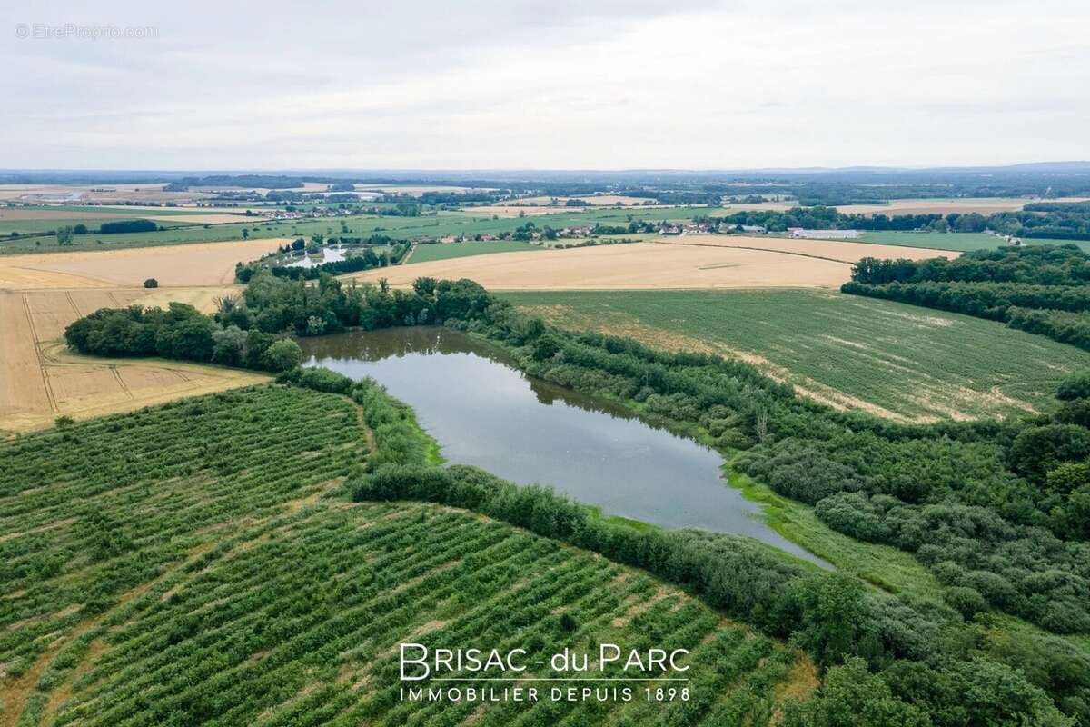 Terrain à SAINT-LEGER-TRIEY