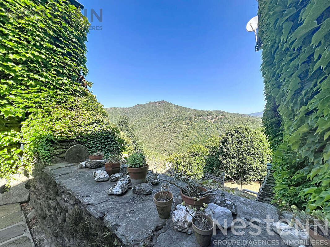 Mas cévenol de caractère avec 22 hectares, pierre sèche et vues panoramiques ? Saint Germain de Calberte - photo 14