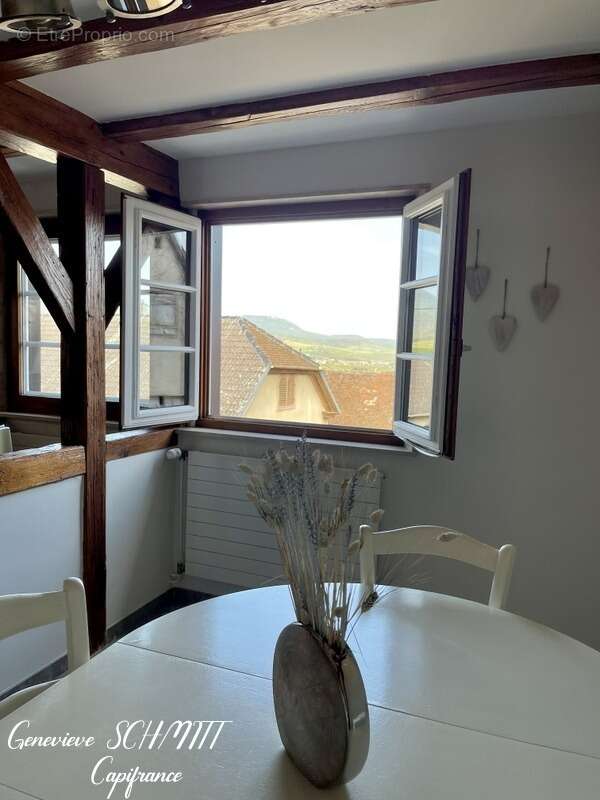 Dpt Haut-Rhin (68), à vendre ZELLENBERG immeuble 197 m² - photo 8