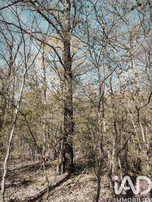 Photo 1 - Terrain à CHAMBEUGLE