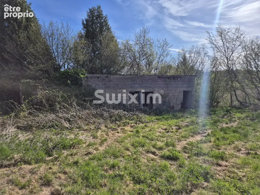 Maison à rénover avec 5 500 m² de terrain, calme, beau potentiel - photo 15