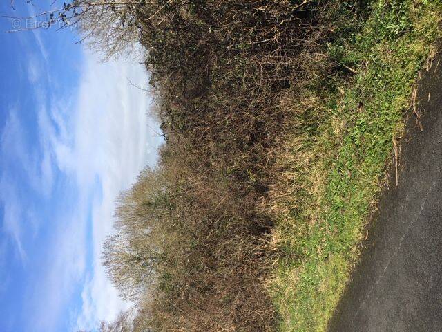 Terrain à SAINT-VALERIEN