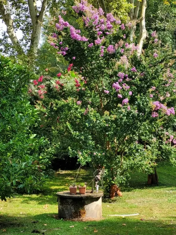 Maison à vendre 3 pièces LABASTIDE D'ARMAGNAC (40) - photo 14